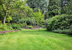 Optimiser l'expérience du jardin à Neufvy-sur-Aronde